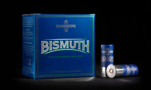 Gamebore Bismuth HD