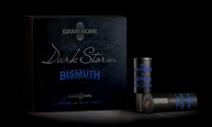 Gamebore Dark Storm Bismuth