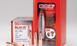 Hornady 6.5mm 143gr ELD-X Bullets