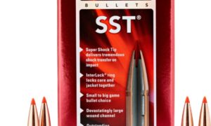 Hornady 6.5mm 140gr SST Bullets